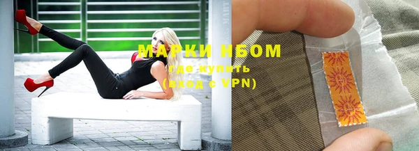 прущие грибы Кодинск