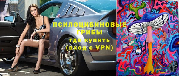 прущие грибы Кодинск