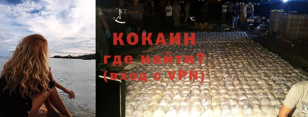 прущие грибы Кодинск