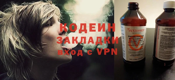 прущие грибы Кодинск