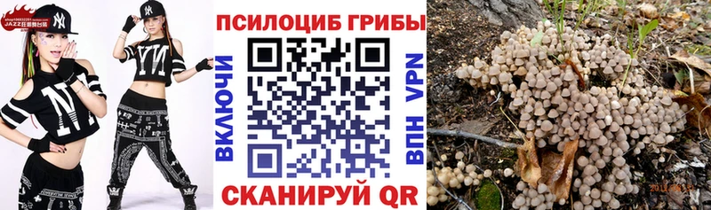 Галлюциногенные грибы Psilocybine cubensis Старый Оскол